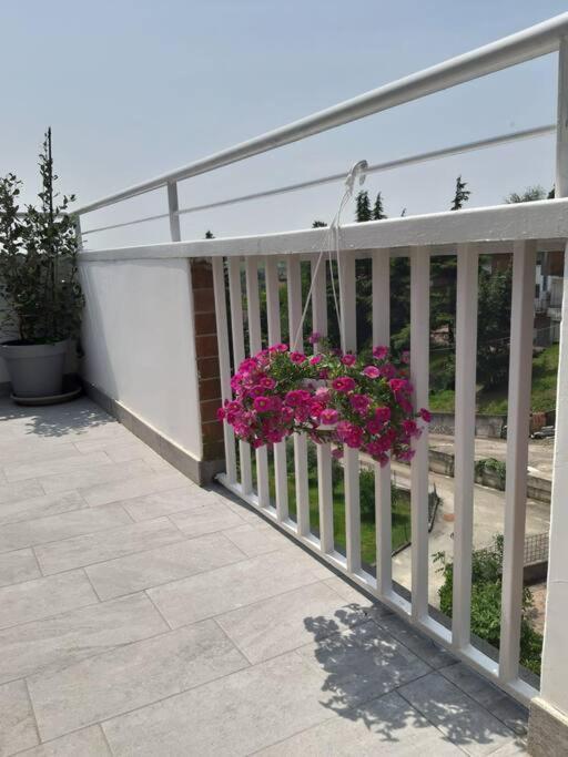 Apartamento Casa Tra I Castelli San Martino Alfieri Exterior foto